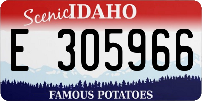 ID license plate E305966
