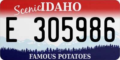 ID license plate E305986
