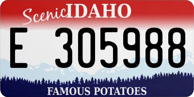 ID license plate E305988