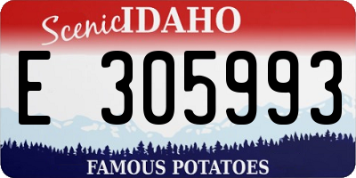 ID license plate E305993