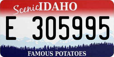 ID license plate E305995