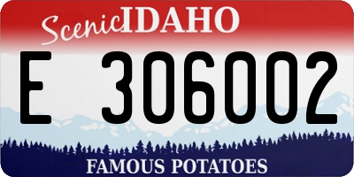 ID license plate E306002
