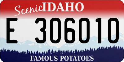 ID license plate E306010