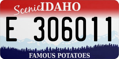 ID license plate E306011