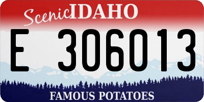 ID license plate E306013