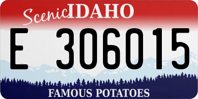 ID license plate E306015