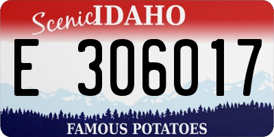 ID license plate E306017