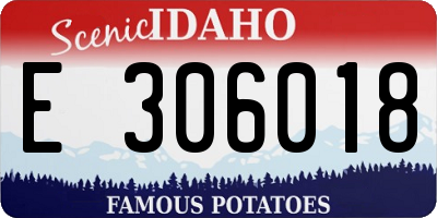 ID license plate E306018