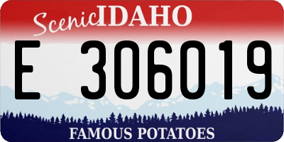 ID license plate E306019