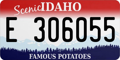 ID license plate E306055