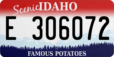 ID license plate E306072