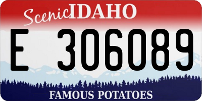 ID license plate E306089