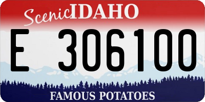 ID license plate E306100