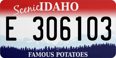 ID license plate E306103