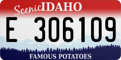 ID license plate E306109