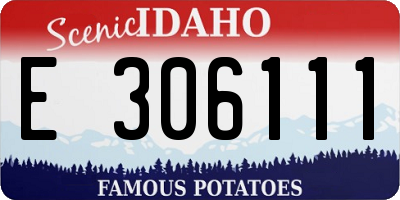 ID license plate E306111