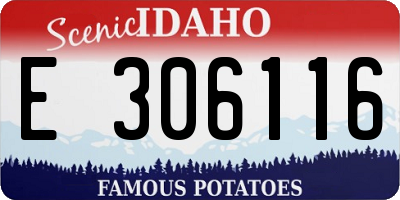 ID license plate E306116
