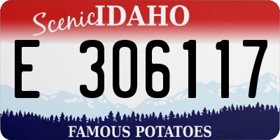 ID license plate E306117