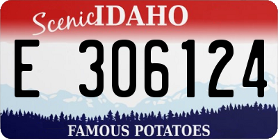 ID license plate E306124