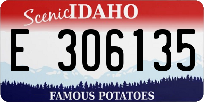 ID license plate E306135