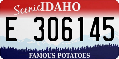 ID license plate E306145