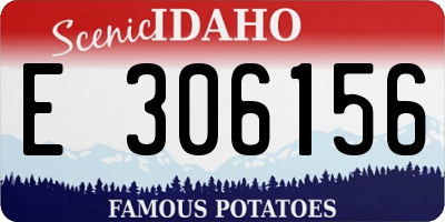 ID license plate E306156