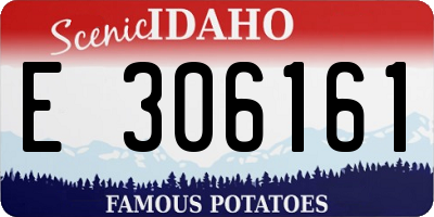 ID license plate E306161