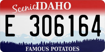 ID license plate E306164