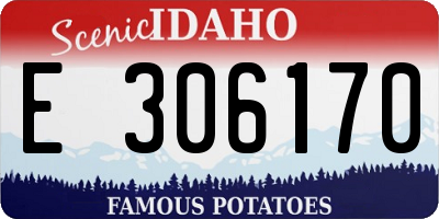 ID license plate E306170
