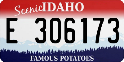 ID license plate E306173