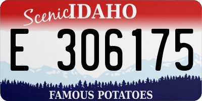 ID license plate E306175