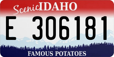 ID license plate E306181
