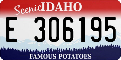 ID license plate E306195