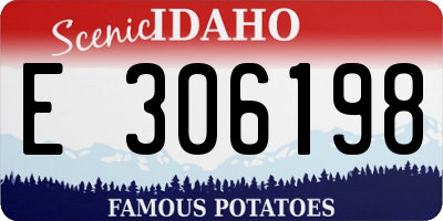 ID license plate E306198