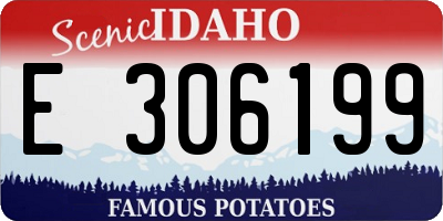 ID license plate E306199