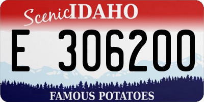 ID license plate E306200