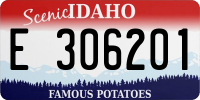 ID license plate E306201