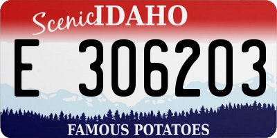 ID license plate E306203