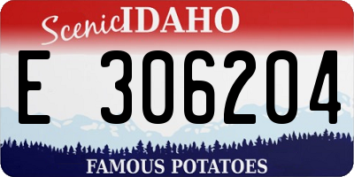 ID license plate E306204