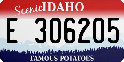ID license plate E306205