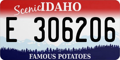 ID license plate E306206