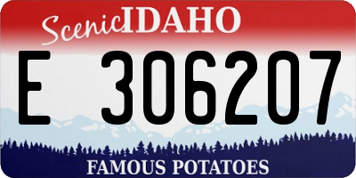 ID license plate E306207