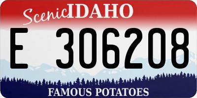 ID license plate E306208
