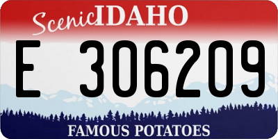 ID license plate E306209