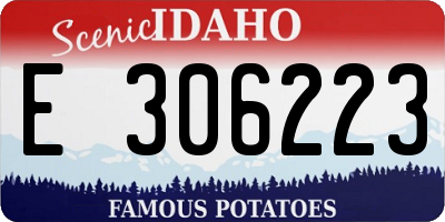 ID license plate E306223