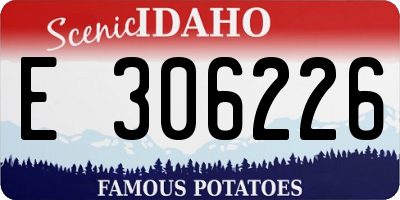ID license plate E306226