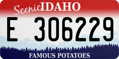 ID license plate E306229