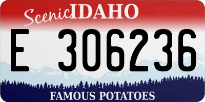 ID license plate E306236