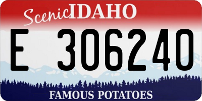 ID license plate E306240