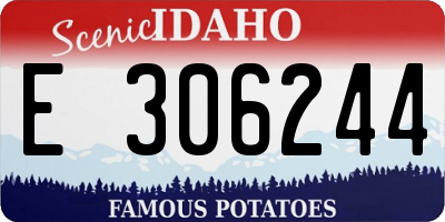 ID license plate E306244